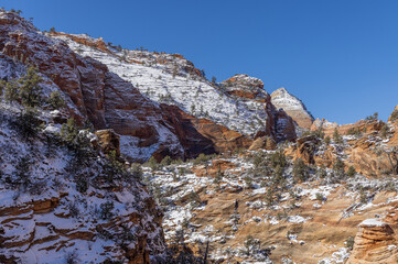 Scenic Snow Covered Landscape in Zion National Park Utah in Winter