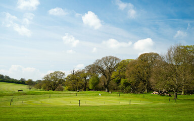 The Westwood with view of putting green and woodland under blue sky. Beverley, UK.