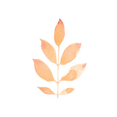Fototapeta premium Watercolor hand-painted branch on a white background