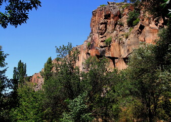 Fototapeta na wymiar Dense green forest and overhanging rock in the Ihlara Valley in central Anatolia, Cappadocia, Turkey