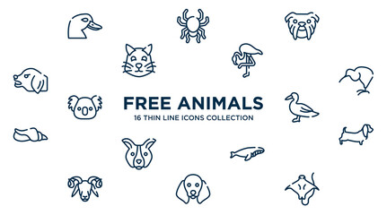 concept of 16 free animals outline icons such as duck head, bulldog head, flamingo with leg up, kiwi eating, wild duck, dog with long ears, whale swimming, dog with floppy ears, stingray long tail
