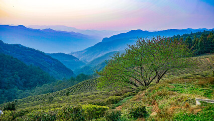 landscape with mountains