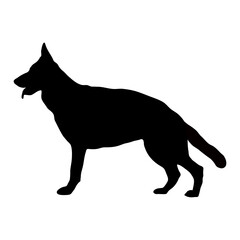 Black silhouette of a dog on a white background.