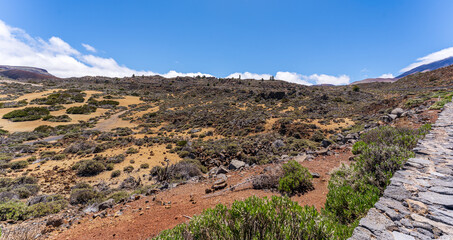 Fototapeta na wymiar Vulkanlandschaft auf Teneriffa