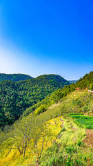 landscape in the mountains