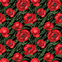 Floral seamless pattern: beautiful red poppies flowers, buds, green leaves on black. Design with hand drawn watercolor elements for textile. wrapping paper, wallpaper, scrapbooking.