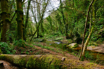 Sentiero delle Mole, Barbarano Romano, Lazio Italia