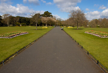 pathway in phoenix park, dublin, ireland, in spring