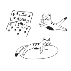 Set of cats, cute cats, black and white cats, cute cat