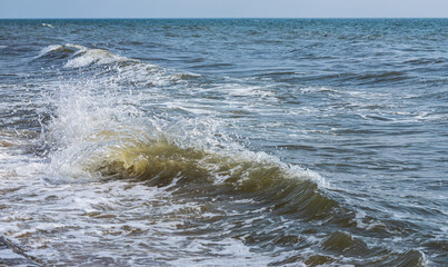 Sea wave with spray and foam near the shore