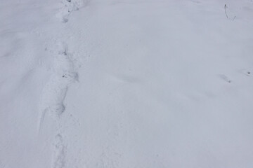Top view of the footprint of shoes boots on fresh snow. The winter season