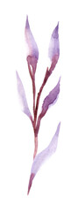 Watercolor illustration of violet leaves, isolated on a white background.