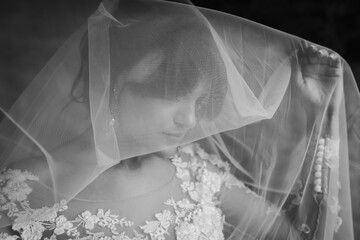 Portrait of the bride. Attractive young girl look at the camera in a white wedding dress and veil...