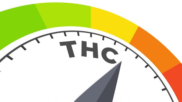 thc level measuring device animation.zoom effect.Infographic gauge, tachometer, speedometer.