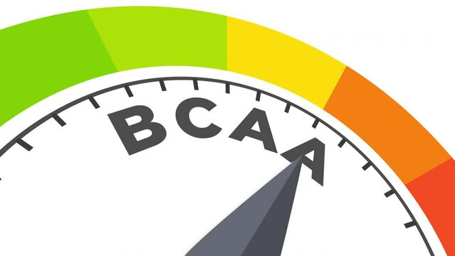 bcaa level measuring device animation.zoom effect.Infographic gauge, tachometer, speedometer.