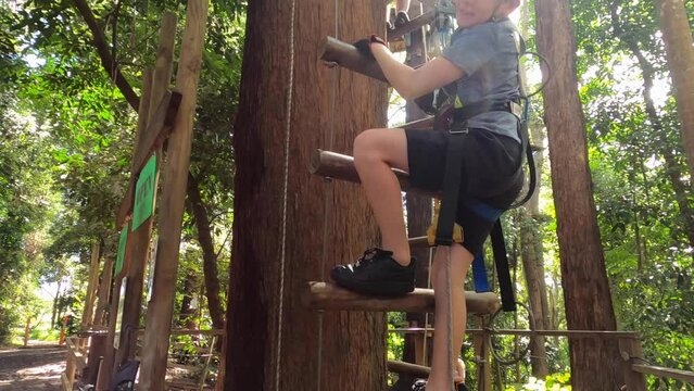 A boy climbs up a ladder towards the bright sun in a treetop adventure challenge.