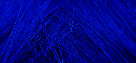 A false blue color of irregular sharp needle-like  coconut fiber view with a dark background. Poster and wallpaper background design concepts. Suitable for business and company presentation.