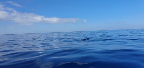 Obraz premium sea and sky