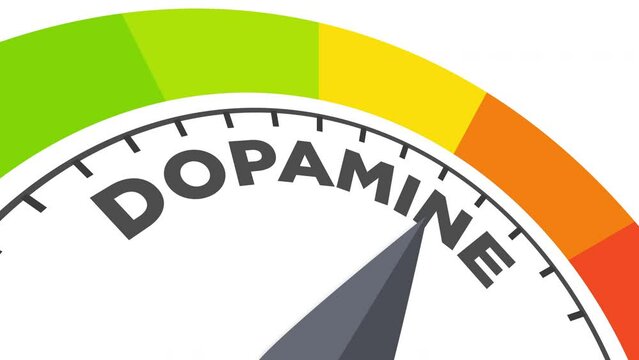 Dopamine level measuring device animation.zoom effect.Infographic gauge, tachometer, speedometer.