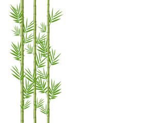 Bamboo stems with leaves