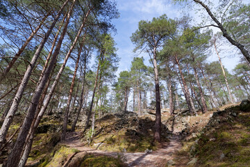 The belvederes, Denecourt  hiking path 16 in Fontainebleau forest 