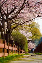 Naklejka premium ROAD