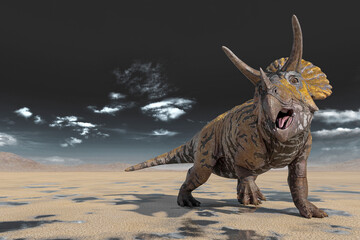 triceratops doing a cool pose on the desert walking after rain © DM7