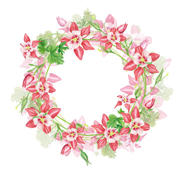 Frame pink columbine flowers. Exotic plants . A watercolor set of flowers and leaves, a hand-drawn floral illustration highlighted on a white background. Botanical. Suitable for design, postcards.