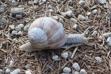 Schöne Landschaft in Donau-Ries, Germany