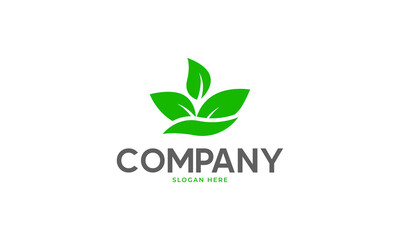 plant tree leaf logo