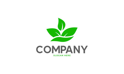 plant tree leaf logo