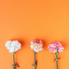 Three carnation flowers pattern on rich orange background. Simple square composition.