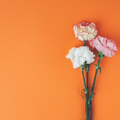 Three carnation flowers bouquet on rich orange background. Simple square composition.