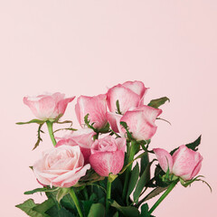 Detail of pink roses. Soft light composition with flowers in lower and copy space in upper part.