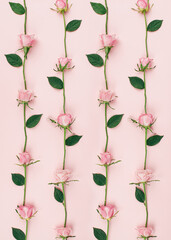 Pink roses in row pattern with small flowers and green leaves. Simple flat lay repetition on soft light.