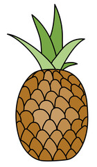Brown ripe pineapple cartoon style illustration. For menu, farmers market or design, cookbook decoration, juice labels, stickers etc.