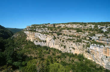 Fototapeta na wymiar Falaise, Minerve, Hérault , Languedoc Roussillon, Parc naturel régional du Haut Lanquedoc