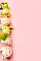 delicate flowers and flower buds on a pink background