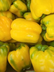 planting peppers in a greenhouse in a small country town