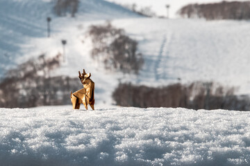 origami reindeer in the snow