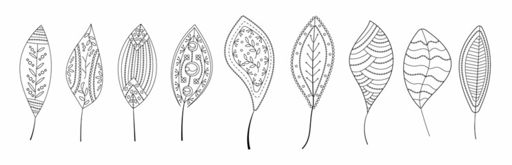 Leaves vector set in line art style. Ethnic tribal leaf in hand drawn style with boho ornament for wrapping paper, wallpaper