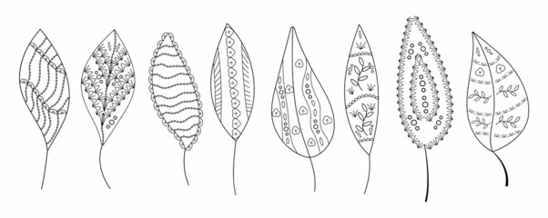 Leaves vector set in line art style. Ethnic tribal leaf in hand drawn style with boho ornament for wrapping paper, wallpaper