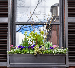 colorful flowers in bloom in the old window box