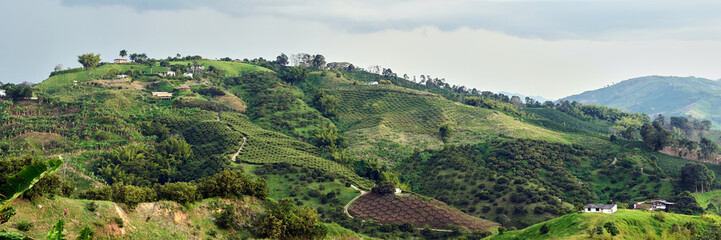 Panoramic view of the Eje Cafetero Caldense. Coffee mountains of Manizales and Chinchiná. Central Cordillera of Colombia.