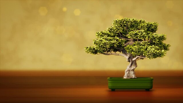 Beautiful Japanese bonsai tree with empty space