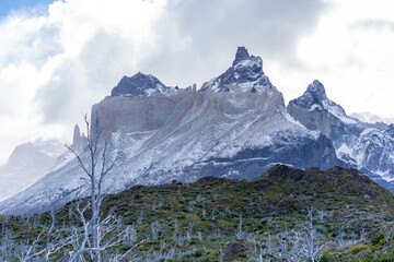 Mountain peaks and dead trees in Torres Del Paine Park, Patagonia, Chile