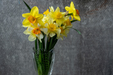 Panoramic grunge background with yellow daffodil flowers. Pattern with a bouquet of daffodils flowers on a dark background. Wide angle web banner mockup with copy space