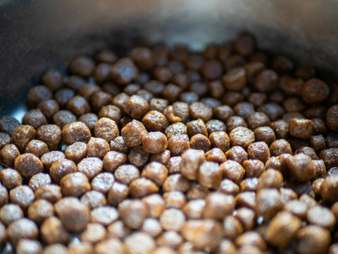 Close-up of dry cat food. Food for animals background. Dry cat and dog food texture. Pet meal background. Selective focus