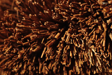 Macro photography of Brown brush bristles natural material