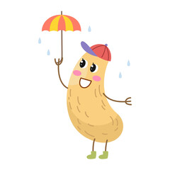 Cute cartoon cashew nut on white background.